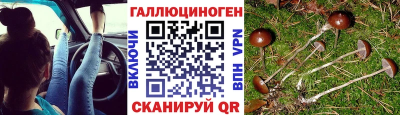 где купить наркоту Старый Крым Псилоцибиновые грибы прущие грибы